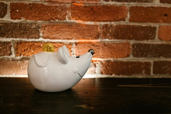 Budget de santé : comment le gérer